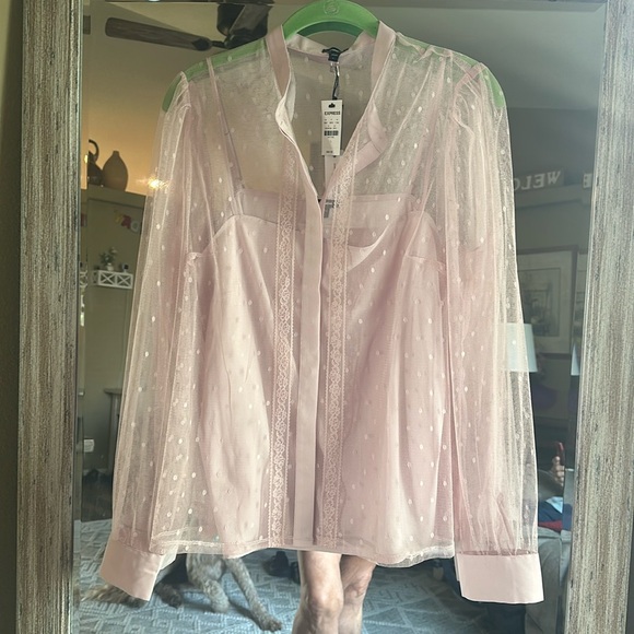 Express Tops - Express New with tags pink sheer Blouse with cami. Size large